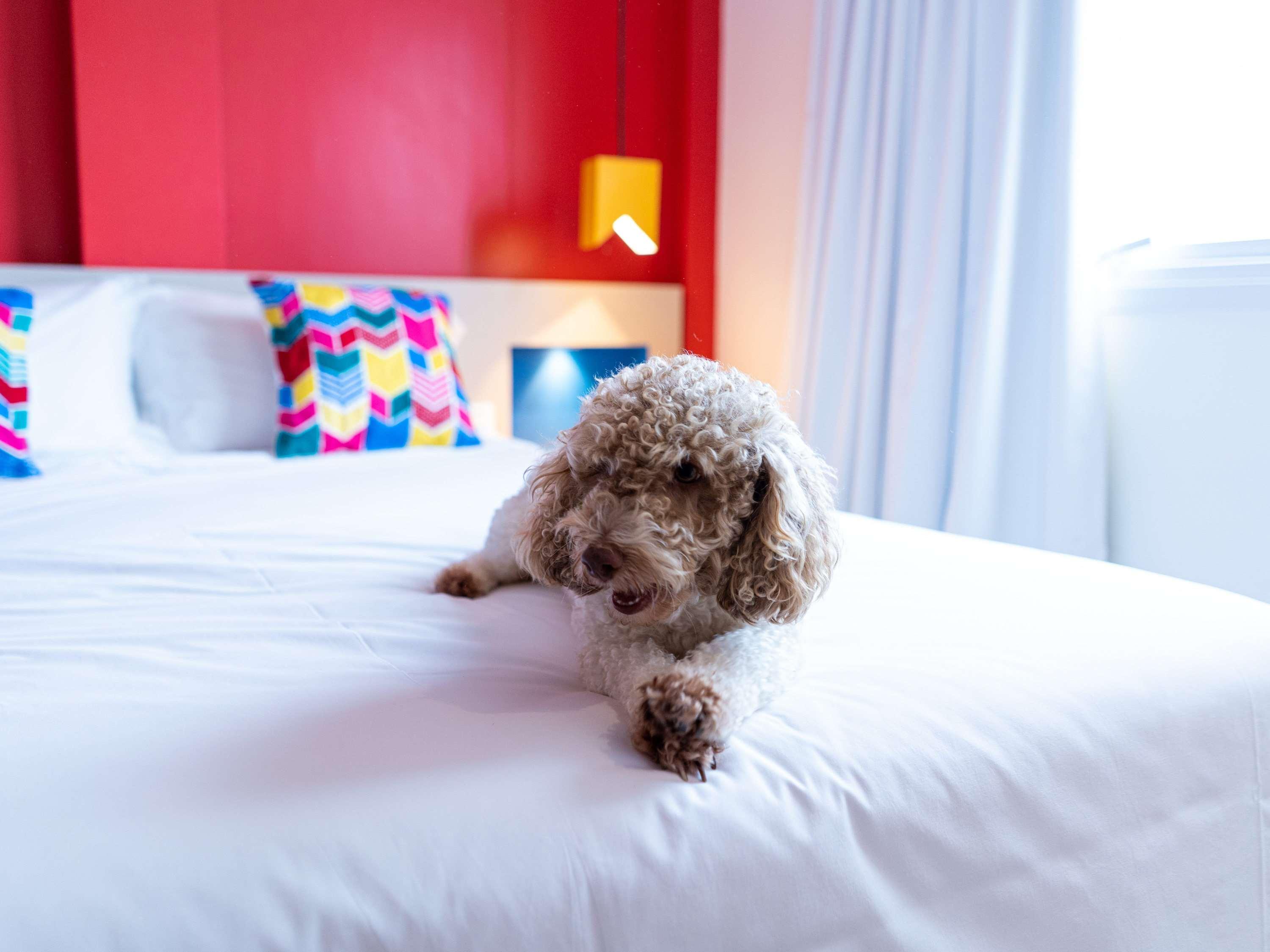 فندق Ibis Styles كامبينا غراندي المظهر الخارجي الصورة