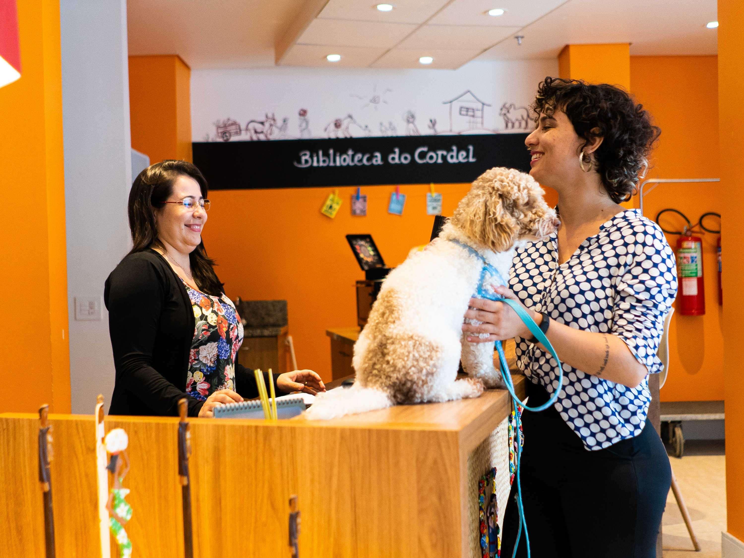 فندق Ibis Styles كامبينا غراندي المظهر الخارجي الصورة